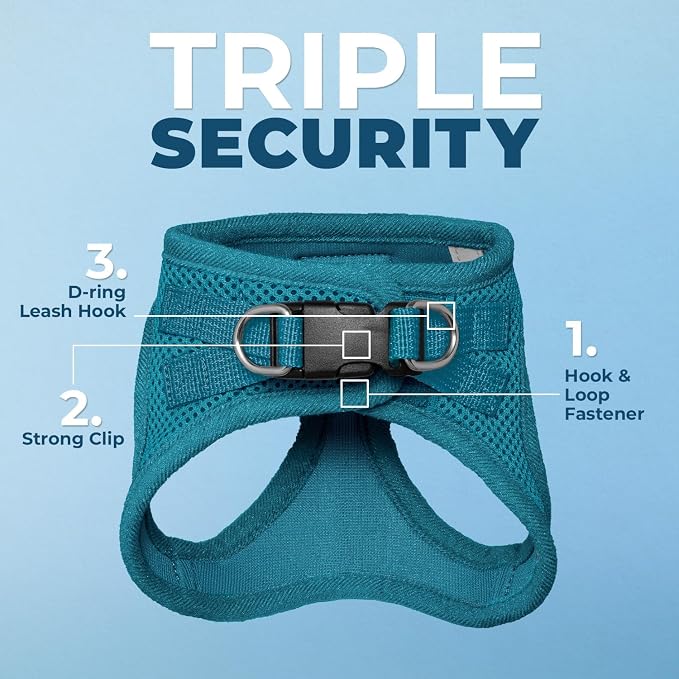 Voyager Step-in Air Cat Harness & Leash Set - Turquoise, S | 14 - 16" in Chest, Reflective Bands, All Weather Breathable Air Mesh, Cats Compatible, Fast Drying - Image 3
