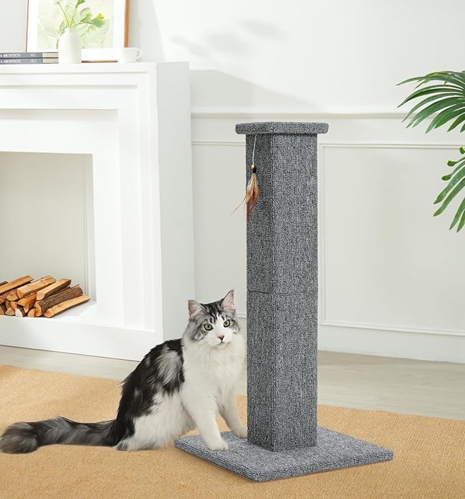 Made4Pets Cat Scratching Post for Indoor Cats, Carpet Cat Scratcher, 32" | Soft Carpet Surface for Cats That Prefer Fabric Scratching, Stable Base, Full-Body Stretching, Ideal for Kittens & Adult Cats - Image 9