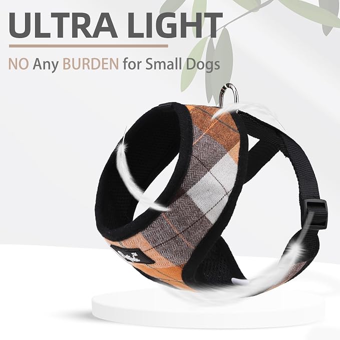 PUPTECK Small Dog Harness and Leash Set No Pull for XS XXS Sized Dogs Puppy | Escape Proof No Choke Pet Cat Adjustable Soft Padded Walking Vest - Image 5