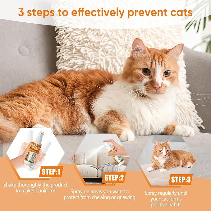 Cat Deterrent Spray 2 Pack, Natural Non-Toxic Plant Based Anti-Scratch & Anti-Marking Spray for Cats & Kittens, Orange Scent Pet Training Aid, Safe for Pets, Indoor Outdoor Furniture, Protector 7.0 Oz - Image 6