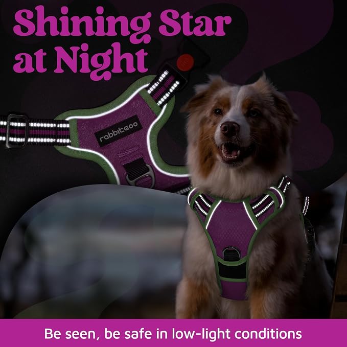 rabbitgoo Dog Harness Medium Sized, No Pull 3 Buckles Easy On & Off | Soft Padded, Walking with Control Handle, Adjustable and Reflective, Purple & Light Green, Medium - Image 6