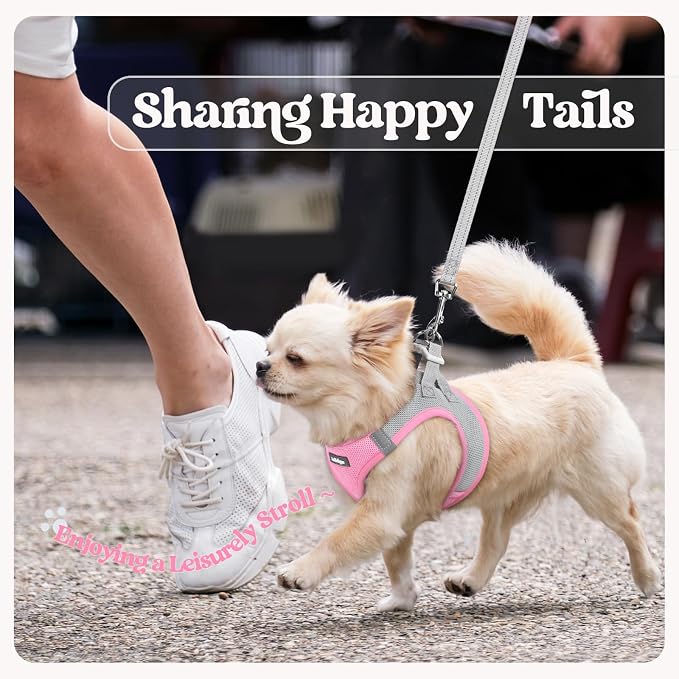 rabbitgoo Dog Harness Small Sized and Leash Set, Step-in Puppy Pet Vest | Light, Soft, Breathable Air Mesh, Easy on and Remove with Hook & Loop, Secure Reflective for Walking, Light Pink & Gray M - Image 9