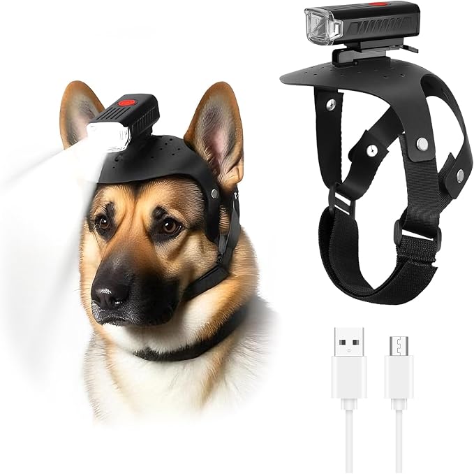 LED Dog Collar Light for Small and Medium Sized Dogs, 3 Light Modes, USB Rechargeable, Night Walking Safety Accessory by Unknown