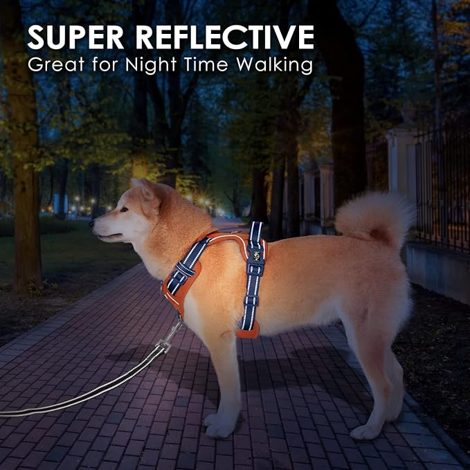 No Pull Dog Harness, Unique Colors Reflective Adjustable Dog Vest | with Soft Training Handle Metal Clips for Small Medium Large Dogs (Orange Base & Blue Straps,S) - Image 6