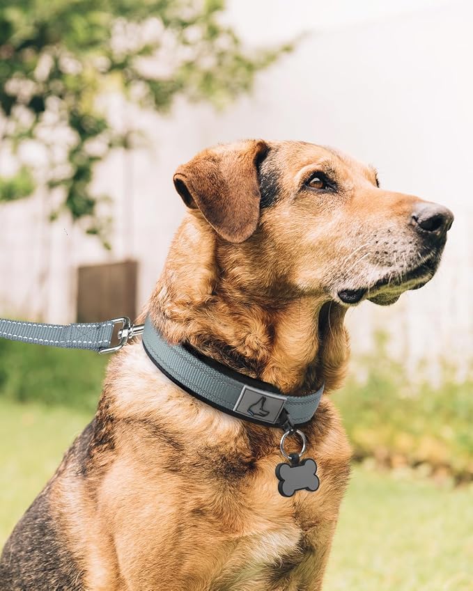 Joytale Reflective Dog Collar for XLarge Dogs with Wide Padding, Gray | Soft Cushion Reduce Neck Strain, Night Safety Walking, Metal Buckle and Adjustable Eyelets, Separated Dog ID Tag Ring - Image 3