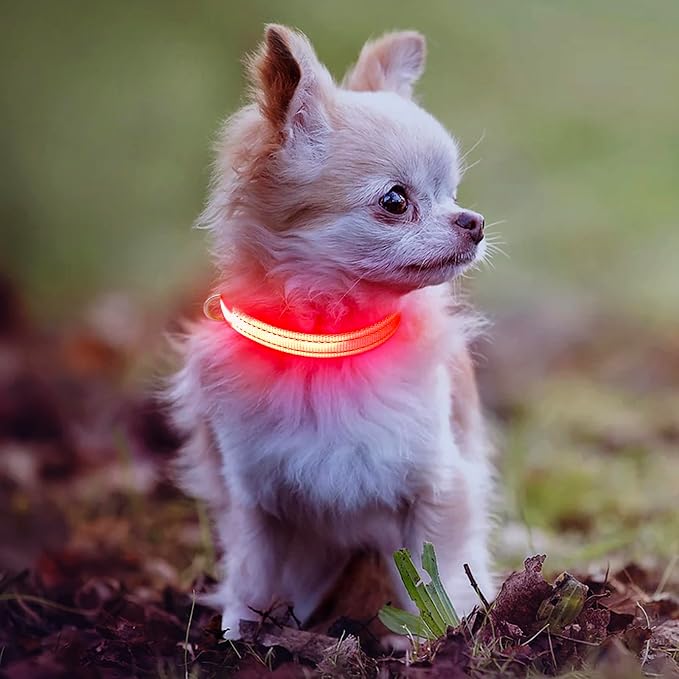Light Up Dog Collar for Small Dogs - Rechargeable LED Cat Collar, Adjustable Reflective Puppy Collar Glowing Safety Dog Lights for Night Walking (Red) - Image 7