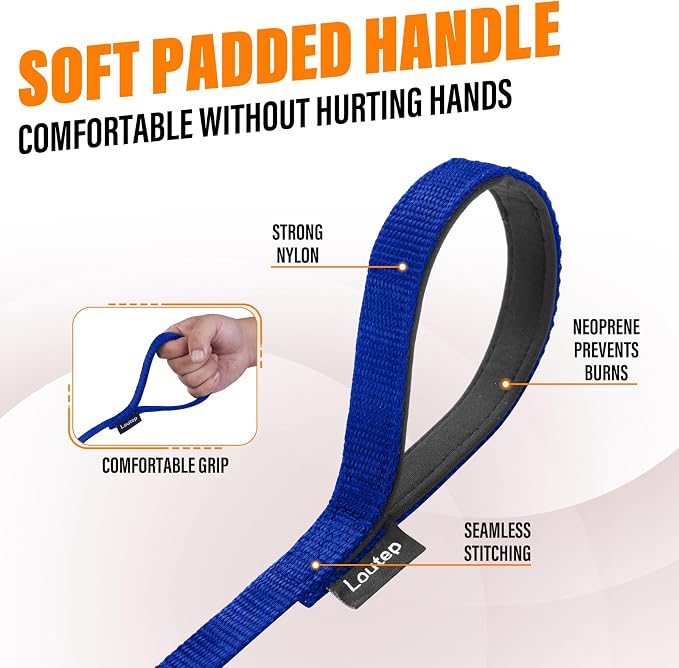 Long Line Dog Training Leash with Padded Handle, 20 ft, Blue | Durable nylon webbing with reinforced stitching and 360° swivel clip for recall and obedience - Image 3