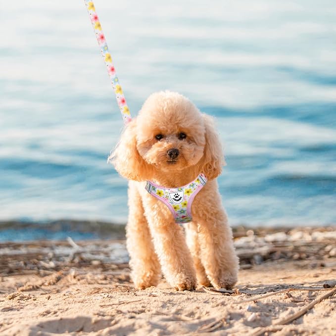 Small Dog Harness and Leash Set - Cute Puppy Harness Leash Dog Collar with AirTag Holder Silicone Case, Soft Padded Step in Pet Vest Reflective for Outdoor Walking, Floral M - Image 7