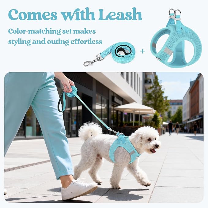 rabbitgoo Dog Harness Small Sized and Leash Set, Step-in Puppy Pet Vest | Light, Soft, Breathable Air Mesh, Easy on and Remove with Hook & Loop, Secure Reflective for Walking, Mint Blue S - Image 5
