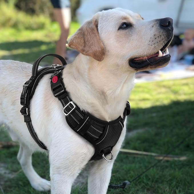 rabbitgoo Dog Harness for Large, No Pull 3 Buckles Easy On & Off | Soft Padded, Walking with Control Handle, Adjustable and Reflective, Black, Large - Image 8