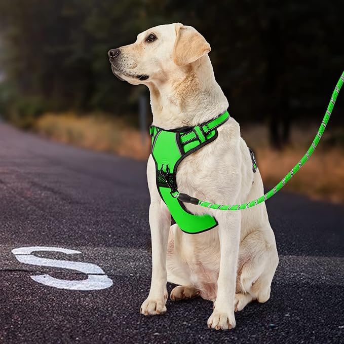IVY&LANE No Pull Dog Harness for Large Dogs, Dog Vest Harness with Leash, Safety Belt and Storage Strap, Fully Adjustable Harness, 360° Reflective Strip, Soft Handle (Green, L) - Image 7