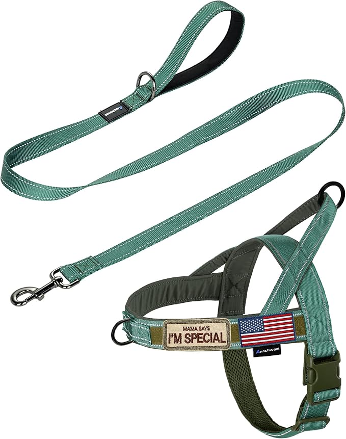 Annchwool No Pull Dog Harness with Padded Handle+5 Ft Leash,Reflective Strip Escape Proof and Quick Fit to Adjust Dog Harness,Easy for Training Walking for Small & Medium and Large Dogs(Green-Set,S) by Annchwool