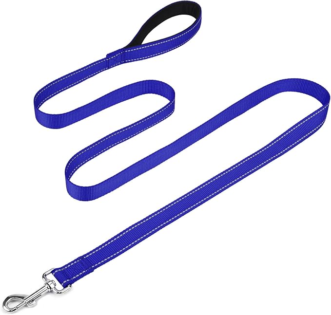 FunTags Reflective Nylon Dog Leash for Medium & Large Dogs, 6FT for Walks | Comfortable Padded Grip, Stay Safe at Night, 360° Anti-Tangle Swivel, for Dog Parks & Trails, Royal Blue by FUNSTARTSHERE