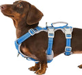 Escape Proof Dog Harness, Secure Dog Harness No Escape, Fully Reflective Harness with Handle,Breathable,Durable, Adjustable Vest for Small Dogs Walking, Training,and Running Gear (Sea Blue,S) by Huntboo