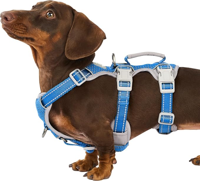 Escape Proof Dog Harness, Secure Dog Harness No Escape, Fully Reflective Harness with Handle,Breathable,Durable, Adjustable Vest for Small Dogs Walking, Training,and Running Gear (Sea Blue,S) by Huntboo