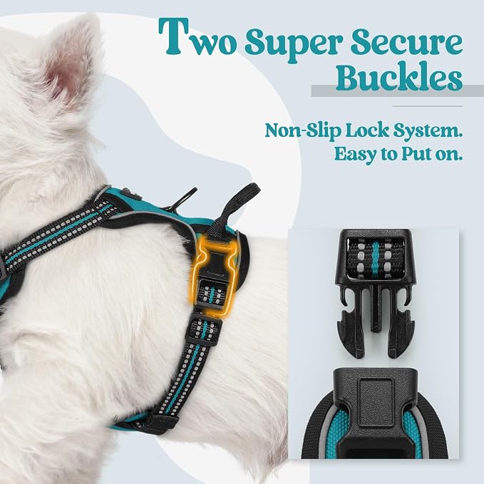 rabbitgoo Dog Harness No Pull with 2 Leash Clips, Adjustable Soft Padded, Reflective Oxford No Choke Pet Vest with Easy Control Handle for Puppy, Teal, XS | No Choke with Handle, Adjustable Soft Padded, Reflective, Easy Control for Walking, Teal, X-Small - Image 3
