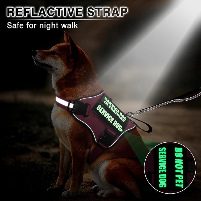 Service Dog Vest Harness and Leash Set+10 Patches,Easy Walk Pink S | No Pull&Adjustable Reflective Dog Harness Small Sized,Dog Leash with 2 Soft Padded Handles,for Training Hiking Walking - Image 5