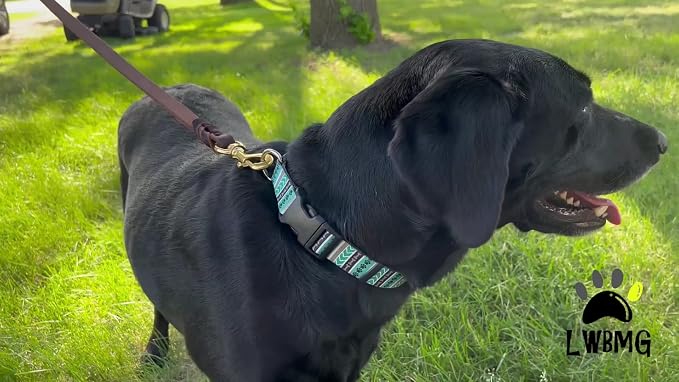 LWBMG Leather Dog Leash 8ft, Heavy Duty Genuine Leather Braided Dog Training Leash, Soft and Strong Pet Lead for Large, Medium Dogs - Image 7