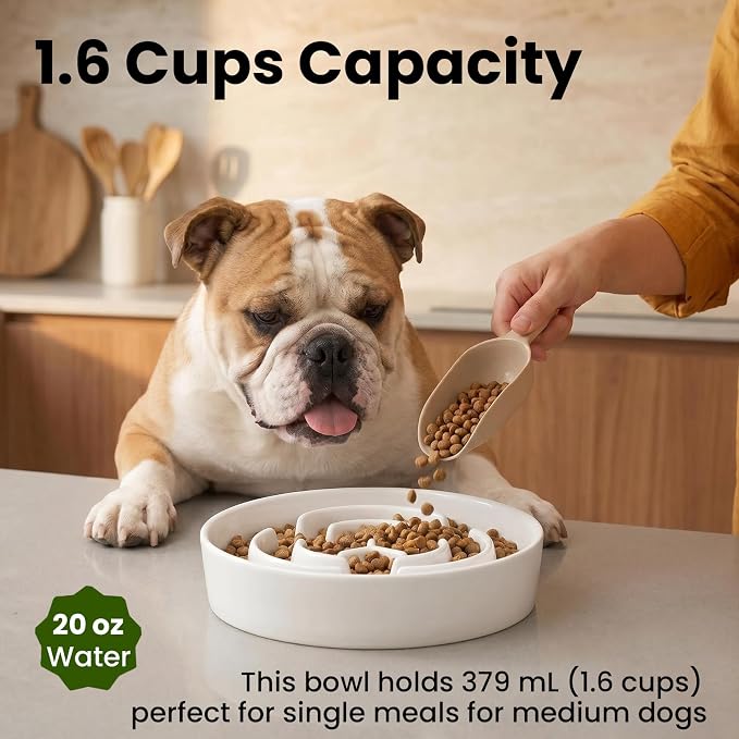 Ceramic Slow Feeder Dog Bowls 1.6 Cups for Medium & Small Fast Eaters,White | Reduces Bloating,8.07x1.77 Inch Dish For Daily Dog Meals, Maze Puzzle Slows Down Eating, Anti-Choking,20oz Water - Image 4