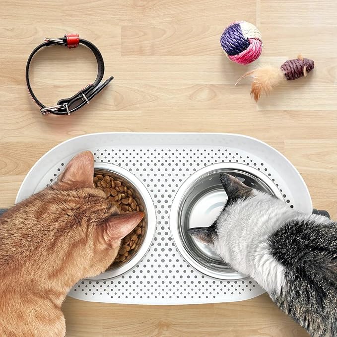 All for Paws Height Adjustable Cat Elevated Bowls Stainless Steel Dog Food Water Bowls, Height Adjustable Cat Feeder Mess Proof Pet Feeding Bowls for Small to Large Size Cats - Image 9