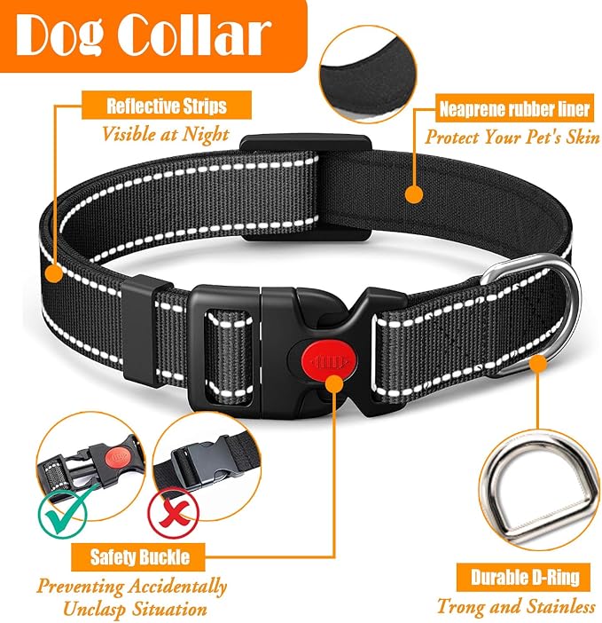 LOBEVE No Pull Dog Harness, Collar & Leash Set with Travel Accessories | Includes Dog Seat Belt, Collapsible Bowls & Poop Bag Dispenser. Ideal for Training, Walking, Hiking. Fits Small to Large Dogs - Image 6