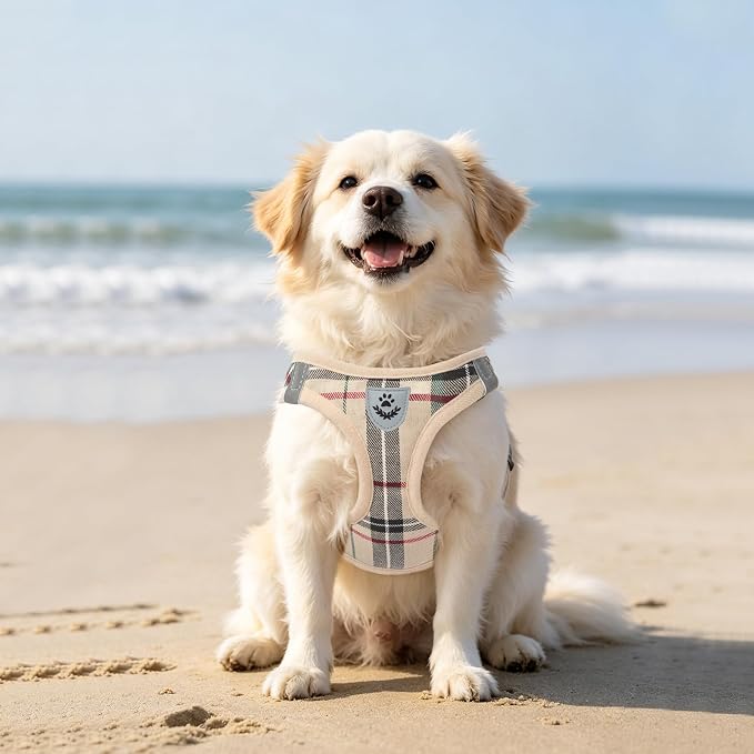 PUPTECK Dog Harness, Collar and Leash Set No Pull for Small Medium Sized | Plaid Puppy Step-in Escape Proof Reflective No Choke Pet Cat Adjustable Walking Vest - Image 9