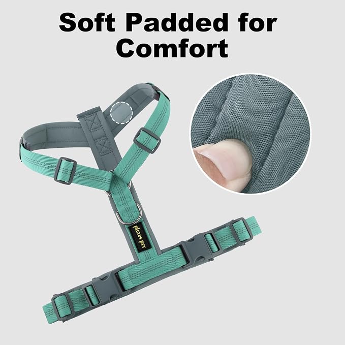 Plutus Pet No Pull Dog Harness, Adjustable Nylon Harness with Soft Padding | Reflective with Front Clip, Heavy Duty for Training and Walking, for Small Medium Large Dogs, Teal, M - Image 3