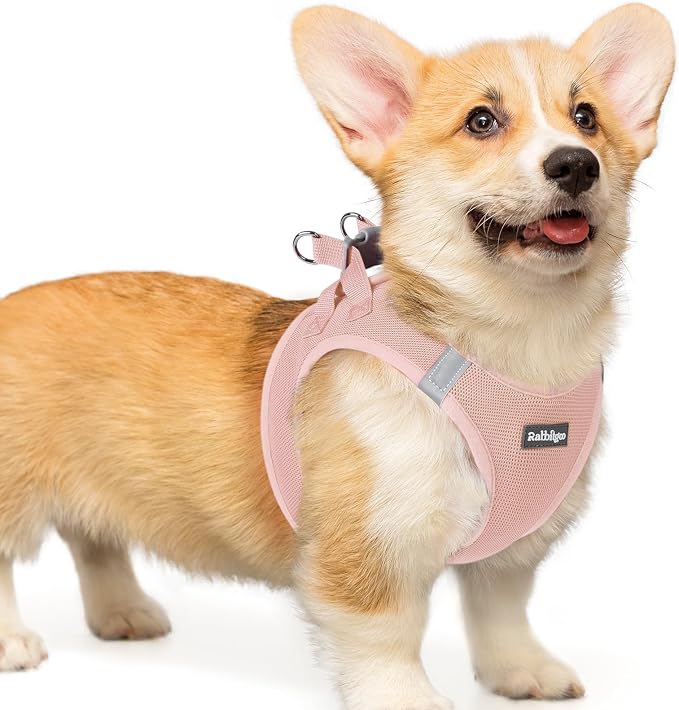 rabbitgoo Step-in Small Dog Harness, Puppy Vest for Small Medium Sized Pet | Easy Put on and off, Lightweight, Soft, Breathable Quick-Dry Air Mesh for Comfortable Secure Walking, Pink L by rabbitgoo