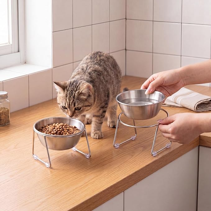 4 Pcs Elevated Cat Bowls 4.53'' Height Raised Stainless Steel Cat Food Bowls Anti-Slip 15° Tilted Stand Shallow Food and Water Dishes for Kitty and Small Puppy (Single Bowl) - Image 4