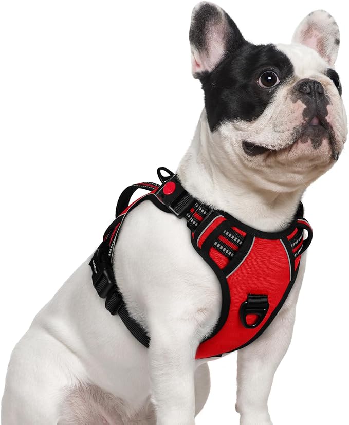 rabbitgoo Large Dog Harness, Easy Wear with 3 Buckles and Lift Handle | No Pull with Front Clip for Walking, Adjustable Soft Padded, Reflective, Easy Control, Red, Small by rabbitgoo