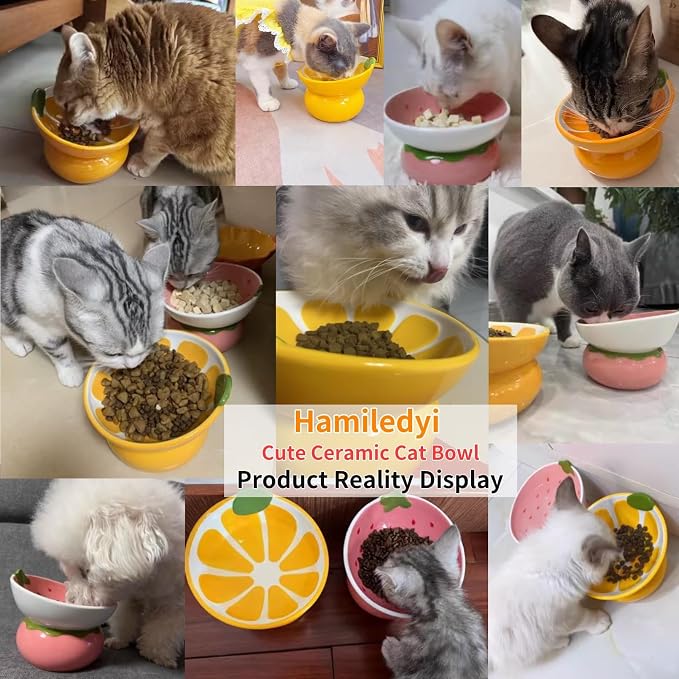 Hamiledyi Ceramic Raised Cat Bowls 15° Tilted Elevated Kitten Food Water Bowl Shallow Whisker Fatigue Kitty Dish Fruit Pet Feeding Bowls Feeder for Indoor Cats Small Dog (Pink Strawberry) - Image 7