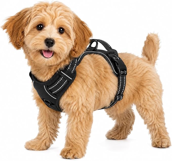 Black Adjustable Reflective No-Pull Dog Harness with 2 Leash Clips，Soft Padded Vest for Small Dog, Easy to Put on and Take Off,Black Small by Unknown