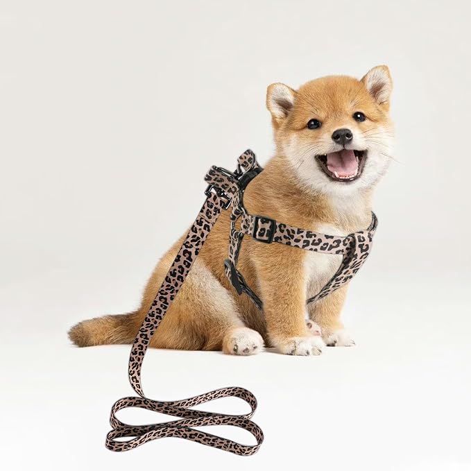 Dog Harness Leash Set Adjustable Heavy Duty No Pull Halter Harnesses for Small Medium Large Breed Dogs Back Clip Anti-Twist Perfect for Walking - Image 2