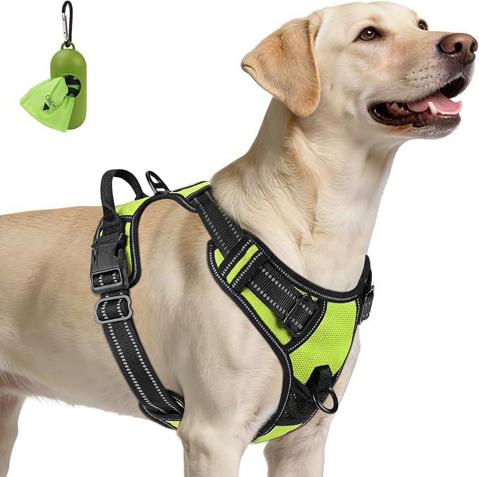 Joytale No Pull Dog Harness for Large Dogs, Front Clip, Green | Grab Handle for Instant Control, Padded & Adjustable Vest, Sturdy Metal D-Rings, for Safe Training & Daily Walking by Joytale