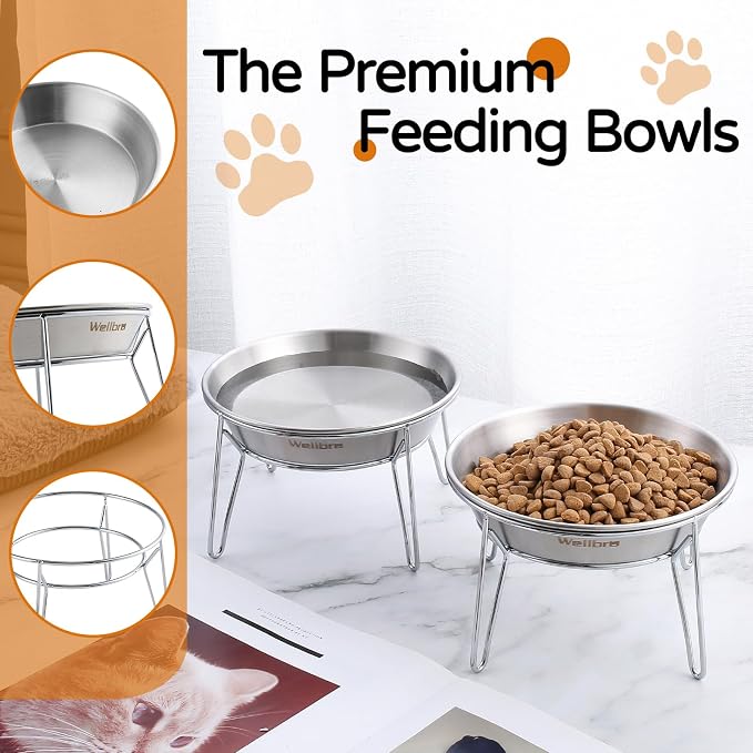 Elevated Cat Bowls, Wide Stainless Steel Cat Food Bowls with Metal Stand Whisker Stress-Free, Raised Food and Water Dish for Cats, Kitten, Puppies and Small Dogs - Image 5