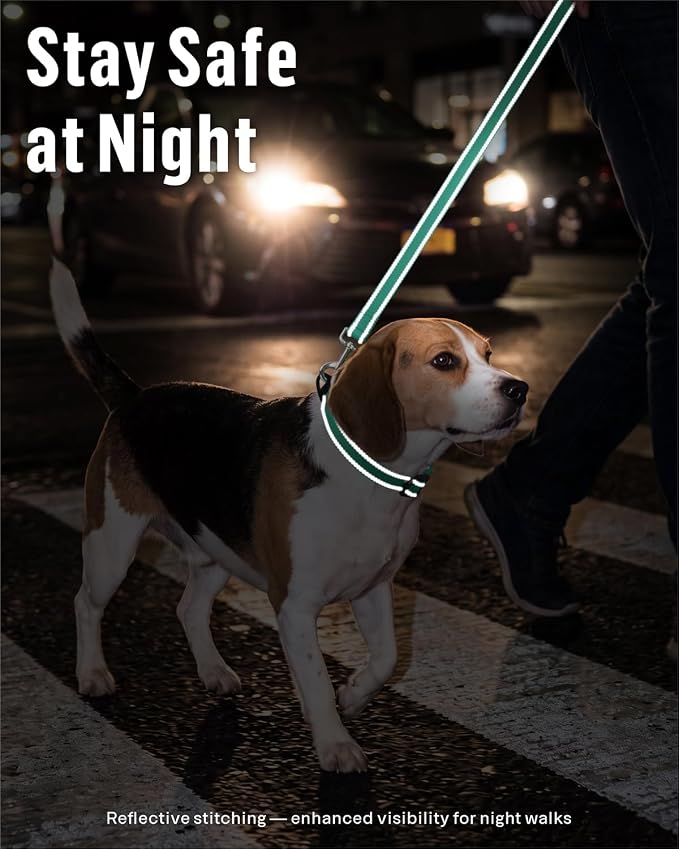 FunTags Reflective Nylon Dog Leash for Small & Medium Dogs, 4FT Training | Comfortable Padded Grip, Stay Safe at Night, 360° Anti-Tangle Swivel, for Dog Parks & Trails, Turquoise - Image 3