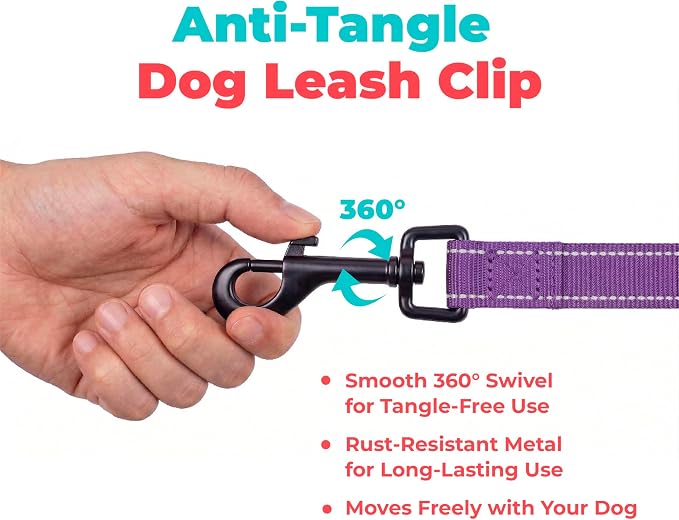 Best Pet Supplies Voyager Nylon Dog Leash - Purple, Medium | 5ft in Length, 3/4" in Width, Reflective, Soft Neoprene Handle, Heavy Duty Metal Clips for Running, Walking & Training - Image 7