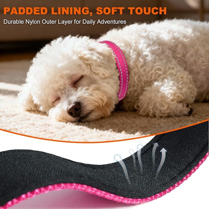 Taglory Reflective Dog Collar for Puppies, Gentle and Safe for Night Walks | Night-Walk Visibility, Soft Neck Cushioning, Adjustable 8-12 in, Locking Buckle, D-Ring for Leash and ID Tags - Image 4