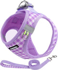 AIITLE Step in Small Dog Harness and Leash Set, Puppy Pet Vest, Purple XS | Breathable Mesh, Adjustable Fit, No-Pull Reflective Design, Escape Proof, for Small-Medium Dogs, Outdoor Walking, Running by AIITLE-FORPETSBETTERLIFE