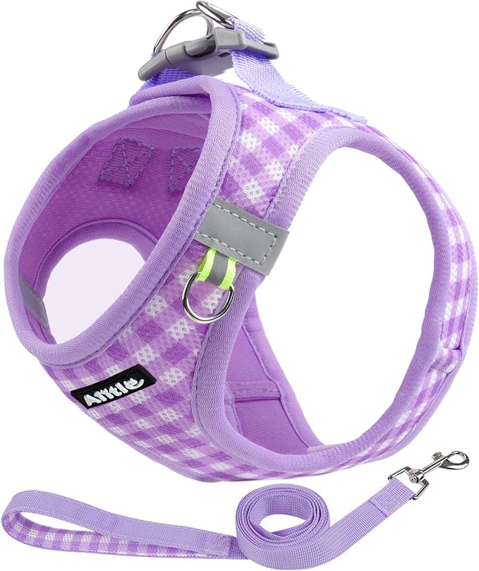 AIITLE Step in Small Dog Harness and Leash Set, Puppy Pet Vest, Purple XS | Breathable Mesh, Adjustable Fit, No-Pull Reflective Design, Escape Proof, for Small-Medium Dogs, Outdoor Walking, Running by AIITLE-FORPETSBETTERLIFE