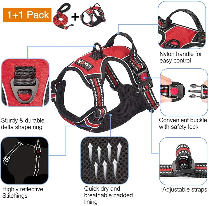 tobeDRI No Pull Dog Harness Adjustable Reflective Oxford Easy Control Medium Large Dog Harness with A Free Heavy Duty 5ft Dog Leash, Red, L - Image 3