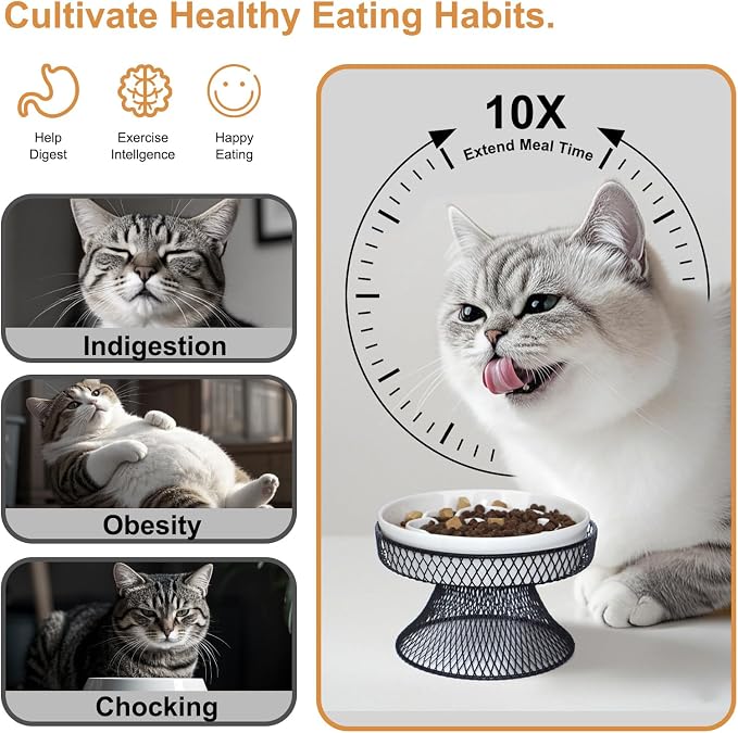 Raised Ceramic Cat Slow Feeder Bowl Elevated Food Bowl with Stand, Cat Slow Bowl for Wet Food and Dry Food, Whisker Friendly Pet Feeder for Kitty and Small Dog - Image 5