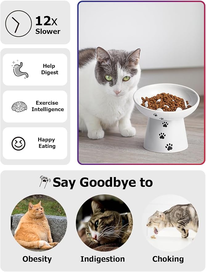Y YHY Slow Feeder Cat Bowl, Ceramic Cat Slow Feeder Bowl, 6 Inches, Elevated, Anti Vomiting for Dry and Wet Food, White - Image 3