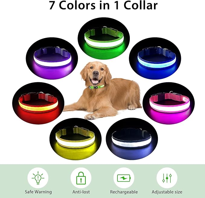 PcEoTllar Light up Dog Collar, Safe for Night Walking, Adjustable, Black, M | Colorful RGB Light, Waterproof, For Small Medium and Large Dogs, Durable Material, USB to Charge - Image 6