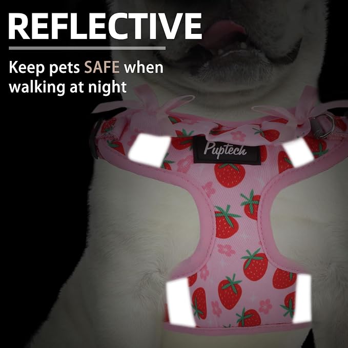 PUPTECK Dog Harness and Leash Set Medium Sized, Step in No Pull Adjustable Puppy Cat Harness Reflective Pet Vest - Image 4