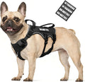 WINSEE Escape Proof Dog Harness with Double Handle+4 Removable Patches | Service Working Molle Harness with Double Handle for Medium Dogs, Tactical Pet Reflective Vest for Walking Hiking Hunting by WINSEE