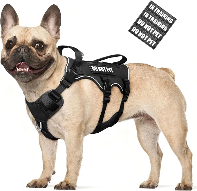 WINSEE Escape Proof Dog Harness with Double Handle+4 Removable Patches | Service Working Molle Harness with Double Handle for Medium Dogs, Tactical Pet Reflective Vest for Walking Hiking Hunting by WINSEE