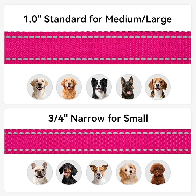 Joytale Reflective Dog Leash for Small Dogs, 5 FT x 3/4", Hotpink | Heavy Duty Nylon Webbing, Padded Handle for Comfort, Visible at Night, for Walking & Training - Image 6
