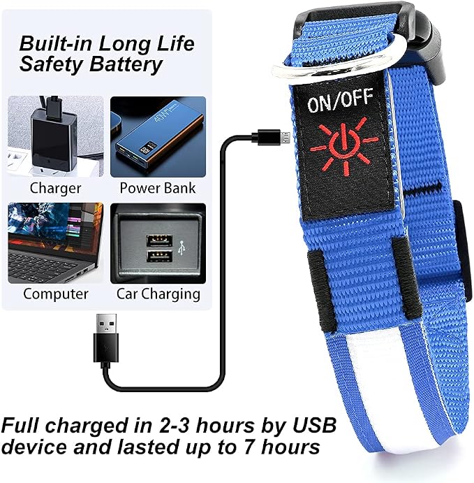 LED Dog Collar, Dog Light Up Collar,for Night Walking (Blue, X-Large) | Full Adjustable,Waterproof,Nylon,Soft,Super Bright Light Collars for Small Medium and Large Dogs,USB C to Charge - Image 4