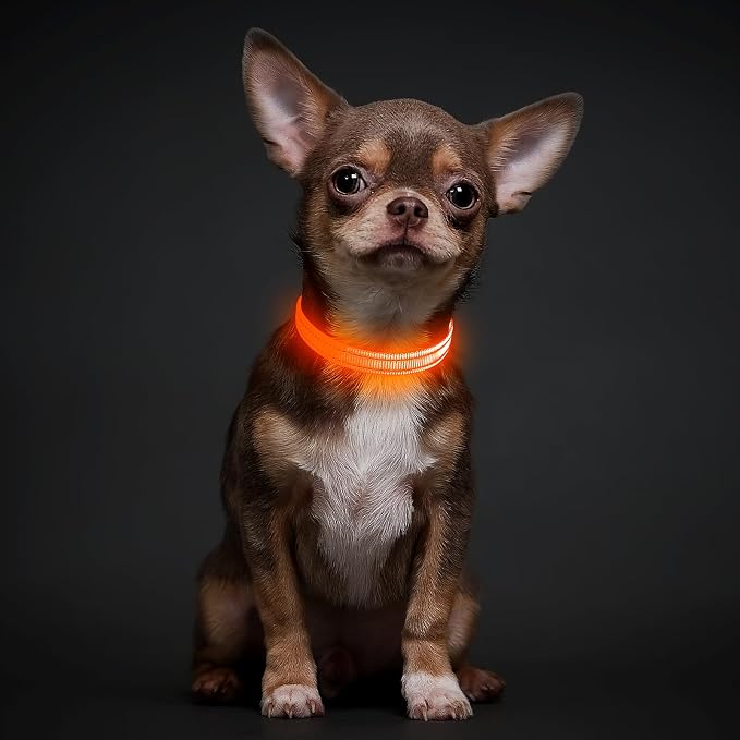 Illumifun Light Up Dog Collar for Small Dogs Cats, Rechargeable LED Dog Collar Glow at Night, Adjustable Nylon LED Cat Collar Light (Orange, X-Small) - Image 6